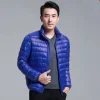 royal-blue