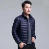 navy-blue-stand