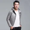 gray-hooded